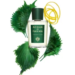 Aromatisch^Acqua Di Parma Colonia C.L.U.B.